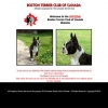 Entry Page Boston Terrier Club of Canada Website