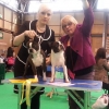 crufts 2014