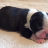 Girl #2