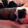 Boy #2