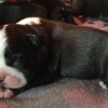 Boy #3