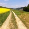 on tour