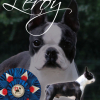 ad_leroy