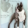 Best In Show - Annual 2012/2013
