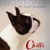 let's talk bostons - cover - #7 april 2015