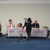 dortmund141012