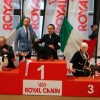Alessandria May 2014